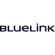 BlueLink International CZ