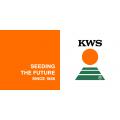 KWS Berlin GmbH
