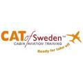 Cat of Sweden