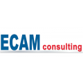 ECAM Consulting Oy