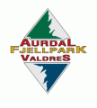 Aurdal Fjellpark Valdres AS